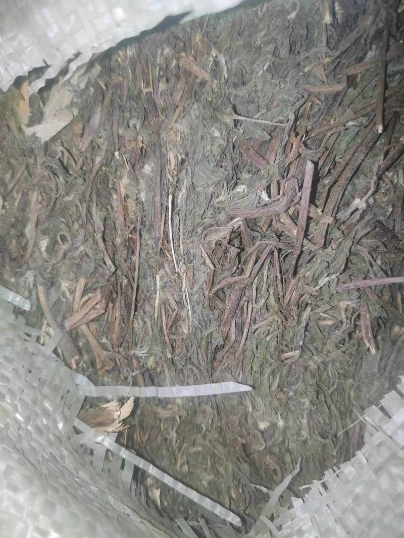 墨旱莲