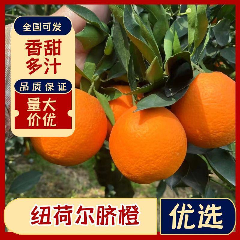 1纽荷尔脐橙湖北脐橙个头大口感甜质量三包全国发