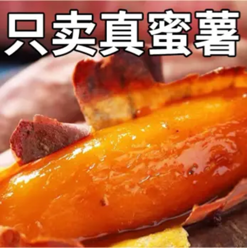 【烟薯】河北红薯蜜薯烤薯沙地烟薯流油糖心常年大量供应