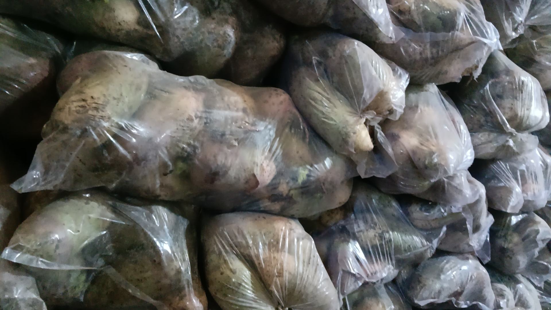 水果萝卜制作成果汁饮品，展现其多样化的食用方式