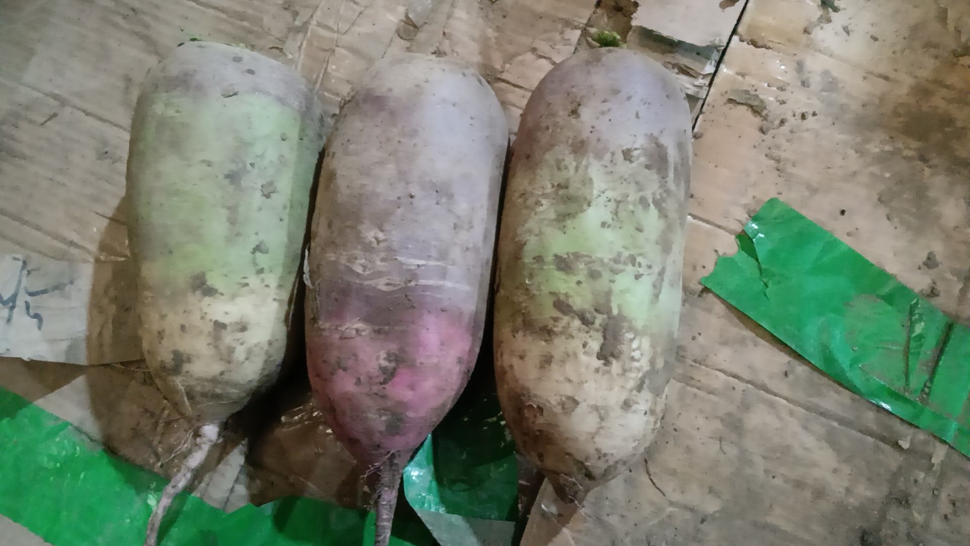 胡萝卜熟晒操作流程图