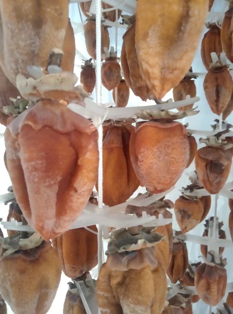 精品柿饼正宗富平柿饼质量保证货源充足量大从优欢迎咨询