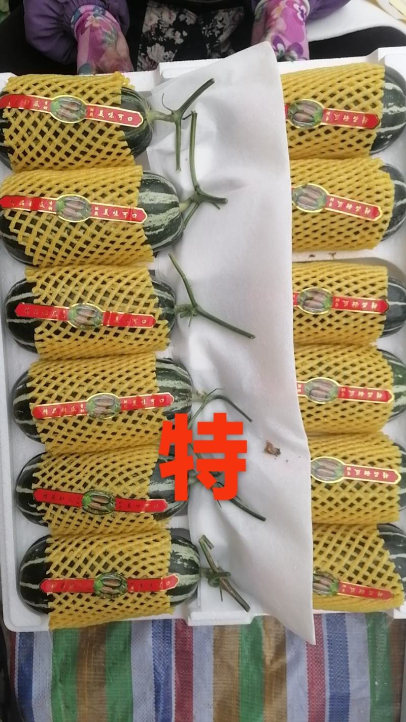 北镇温室博洋九（酥脆芳香，皮薄汁多，营养丰富）