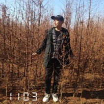 米径2-12公分的水杉，水杉苗，杉树，大量供应