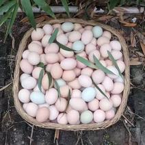 土鸡蛋农场直销60枚一件小件起发包邮品质鸡蛋欢迎联系