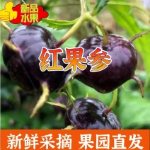 一件代发全国发货果园直发，欢迎电商团购咨询合作。