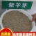 紫羊茅种子紫羊茅草种草籽紫羊毛种子四季常青护坡紫羊茅草坪
