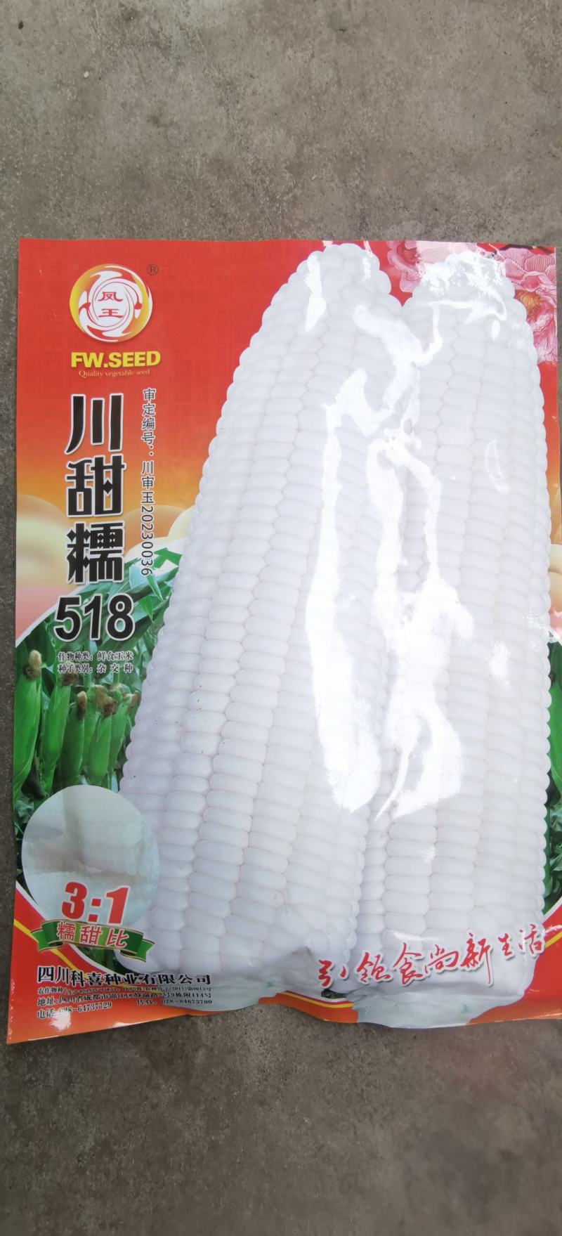 玉米种子川甜糯518大棒白甜糯鲜食玉米口感好香甜糯