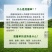 进口混播草籽四季青草坪种子护坡庭院绿化低矮草种不修剪耐寒