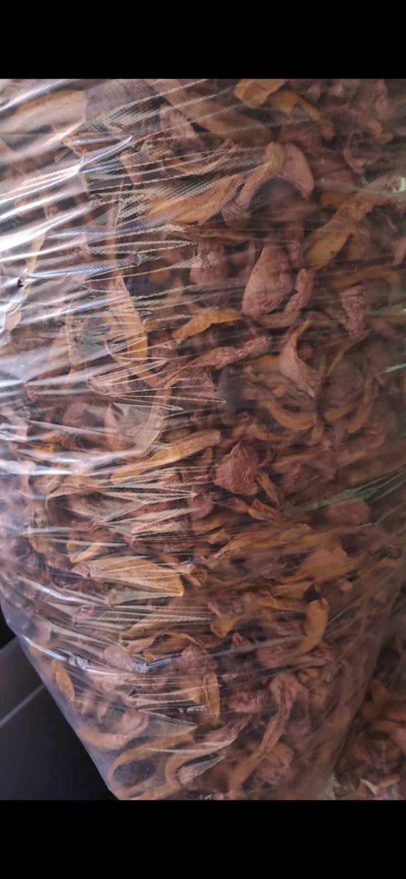 东北红蘑野生菌
