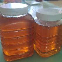 土蜂蜜蜂蜜大量供应自家养殖甜蜜可口保质保量欢迎咨询