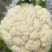 汉中菜花带叶实菜花乳白紧花产地直发一手货源视频看货