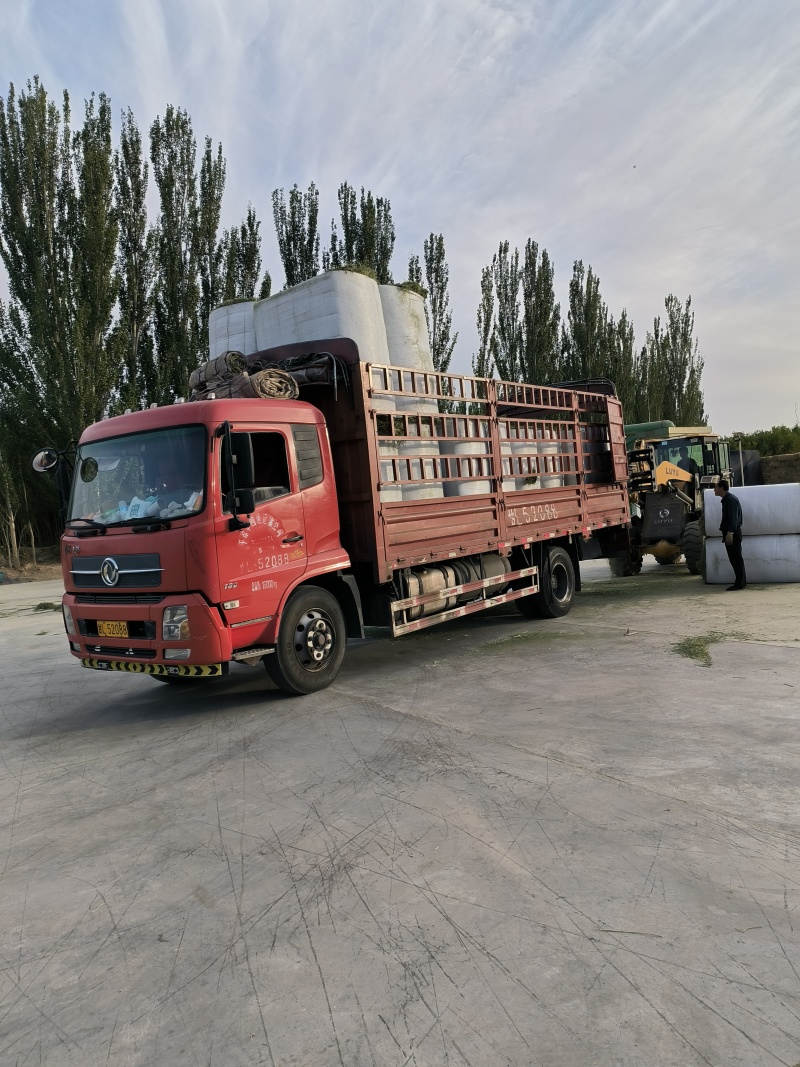 优质加密包苜蓿草甘肃玉门胜陇源草业优质苜蓿草种植基地