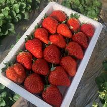 红颜九九草莓自产自销！！！