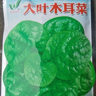 木耳菜种子大叶木耳菜科喜牌大圆叶叶片肥厚生长快速高产