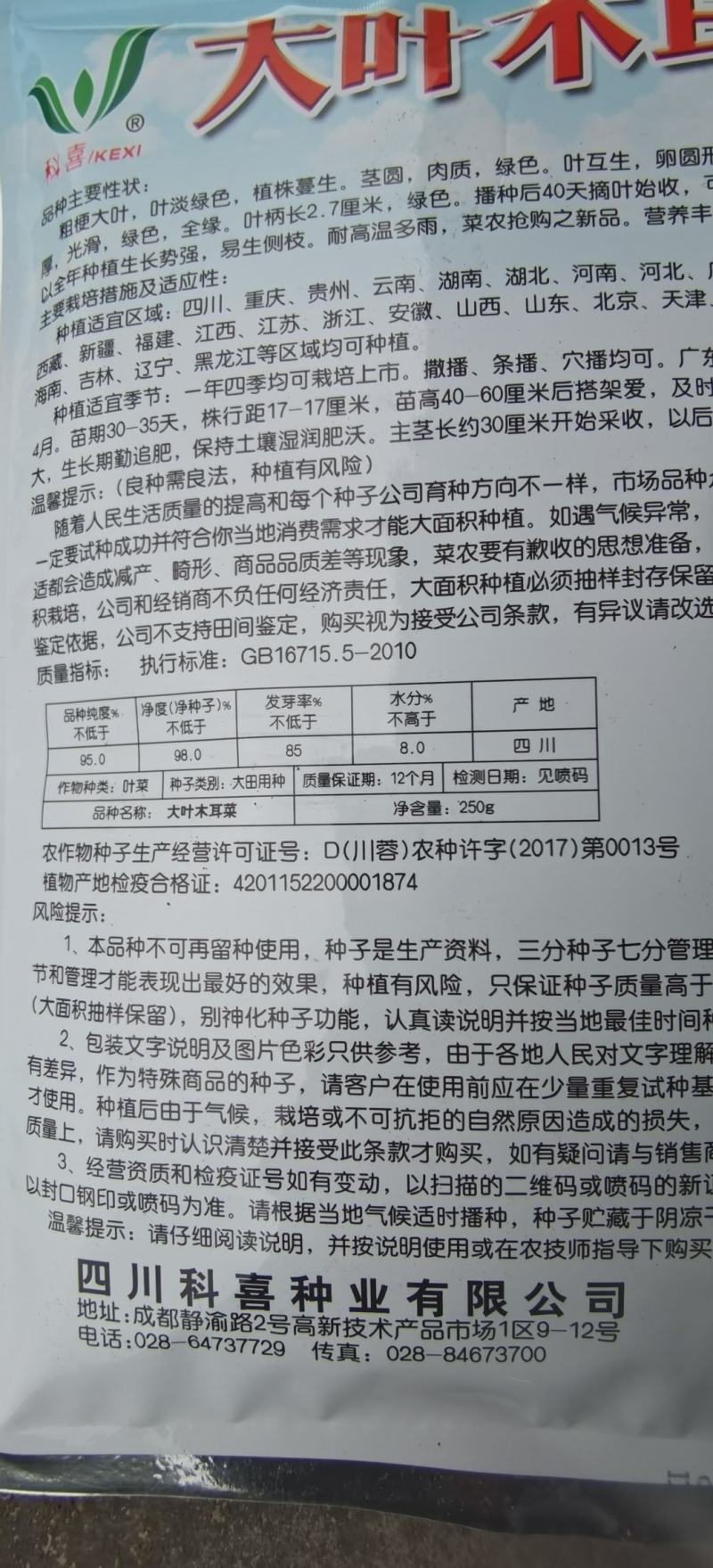 木耳菜种子大叶木耳菜科喜牌大圆叶叶片肥厚生长快速高产