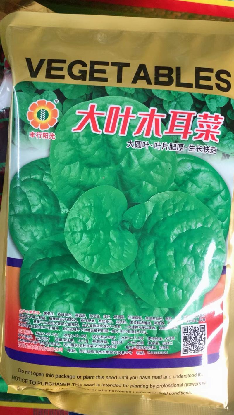 木耳菜种子大叶木耳菜科喜牌大圆叶叶片肥厚生长快速高产