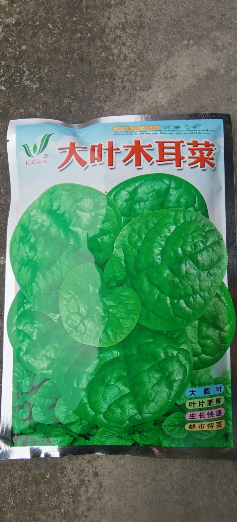 木耳菜种子大叶木耳菜科喜牌大圆叶叶片肥厚生长快速高产