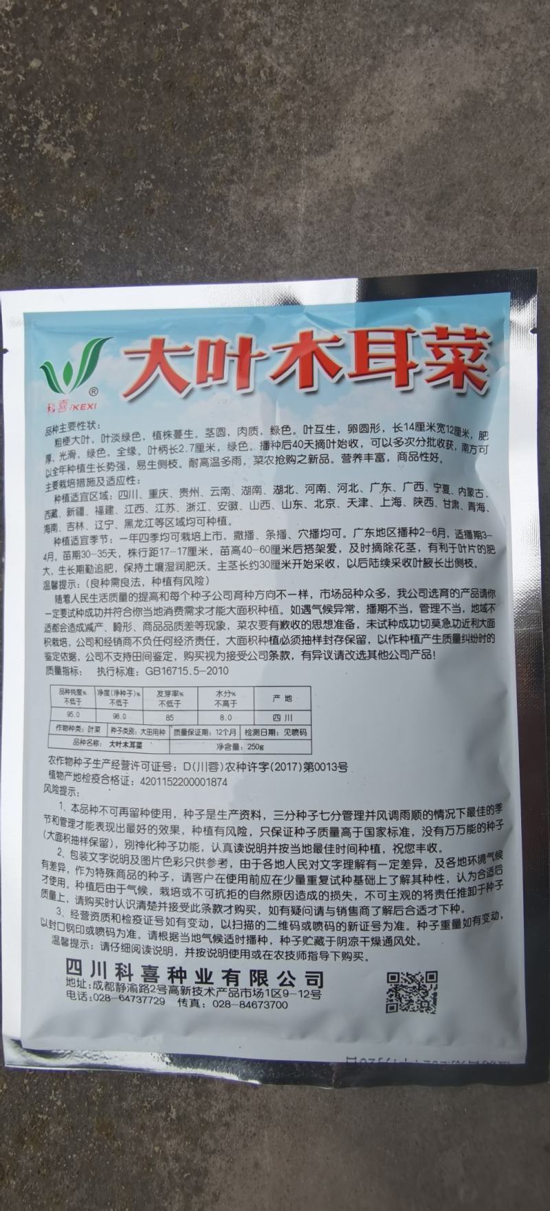 木耳菜种子大叶木耳菜科喜牌大圆叶叶片肥厚生长快速高产