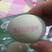 鸭蛋松花蛋精品松花鸭皮蛋，白壳鸡皮蛋，红壳鸡皮蛋