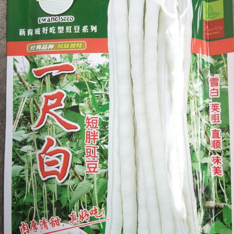 白豇豆种子一尺白短粗胖豇豆雪白荚粗顺直好吃连续采摘