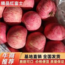 正宗山区红富士苹果，产地代收保质保量口感脆甜多汁