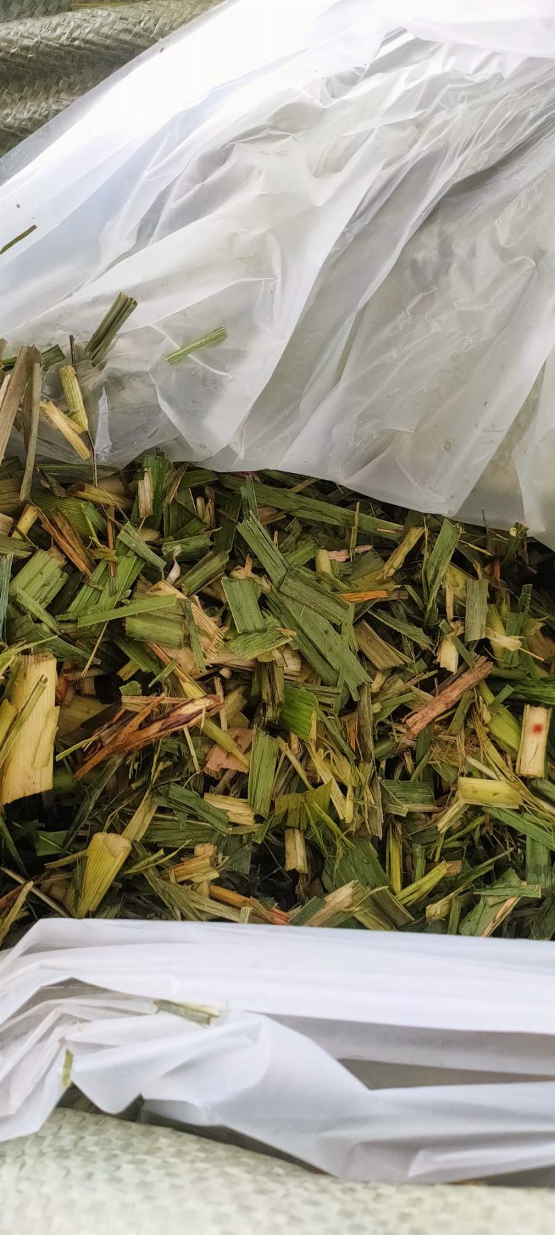 甘蔗尾粉碎！发效！压包！水份安全！质量安稳