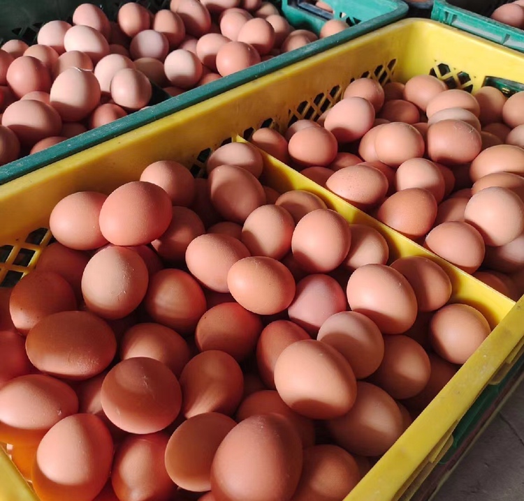 蒸蛋蛋液搅拌图