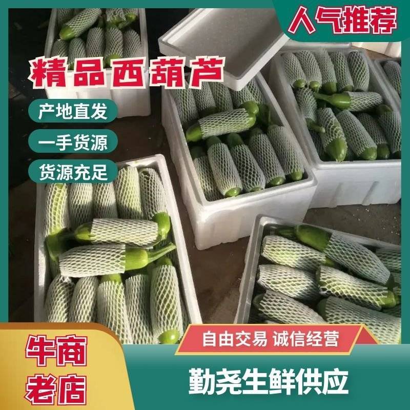 精品油绿皮西葫芦0.6到0.8斤，欢迎前来采购