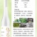 桃红葡萄酒酒庄直供品质保证全国发货欢迎致电