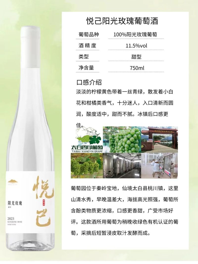 桃红葡萄酒酒庄直供品质保证全国发货欢迎致电
