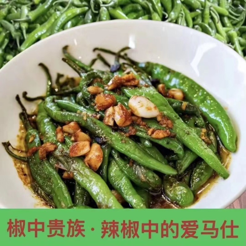 樟树港辣椒️大量上市全国发货供应各大平台