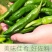 樟树港辣椒️大量上市全国发货供应各大平台