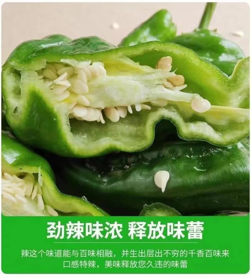 龙福辣椒软香辣椒品质好价格优产地直发。