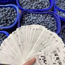 云南精品蓝莓产地直发人工挑选规格齐全欢迎来电采购交流