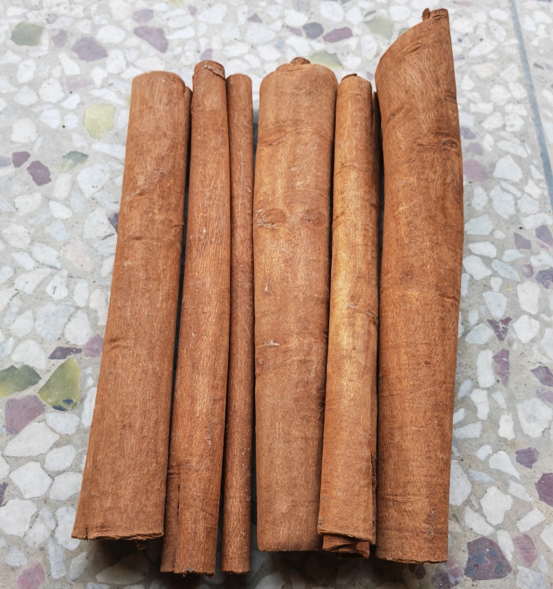 1斤起发桂皮中通选通大通肉桂烟桂黄通桂段新货全干产地直销