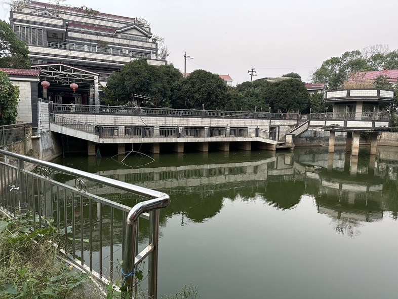 一座典型的江南园林中,丹桂与假山、池塘相映成趣,游客在回廊中驻足欣赏花香,远处可见几株红花盛开的丹桂 江南园林中的丹桂景观