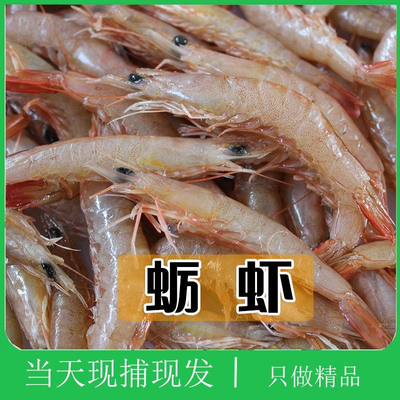 蛎虾鲜活海捕新鲜青岛滑皮虾深海鹰爪虾无冰立虾沙虾冷冻