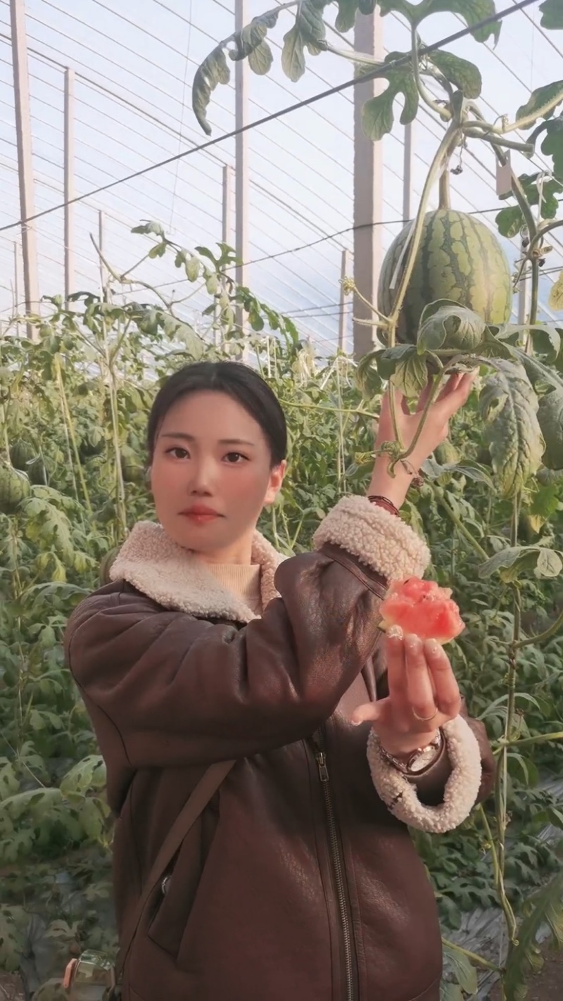 【甄选】精品小糖丸吊瓜，大量上，货源足价优，可看货