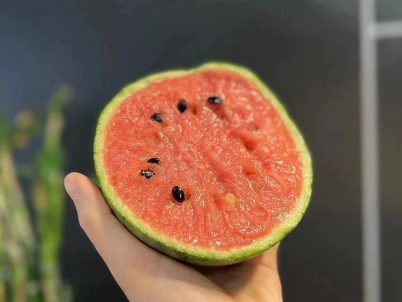 【甄选】精品小糖丸吊瓜，大量上，货源足价优，可看货