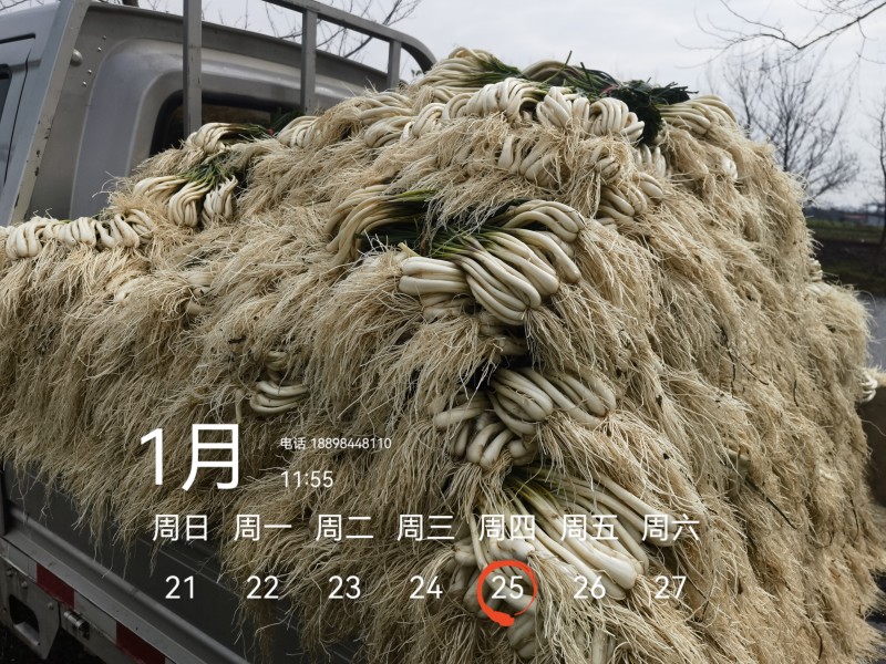 欢迎市场，大批，电商平台等老板来电！可按规定需要定制