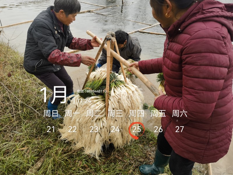 欢迎市场，大批，电商平台等老板来电！可按规定需要定制