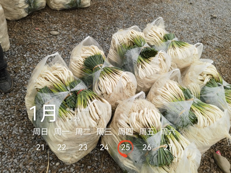 欢迎市场，大批，电商平台等老板来电！可按规定需要定制