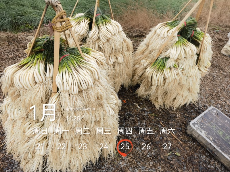 欢迎市场，大批，电商平台等老板来电！可按规定需要定制