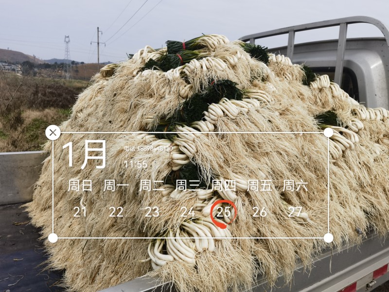 欢迎市场，大批，电商平台等老板来电！可按规定需要定制