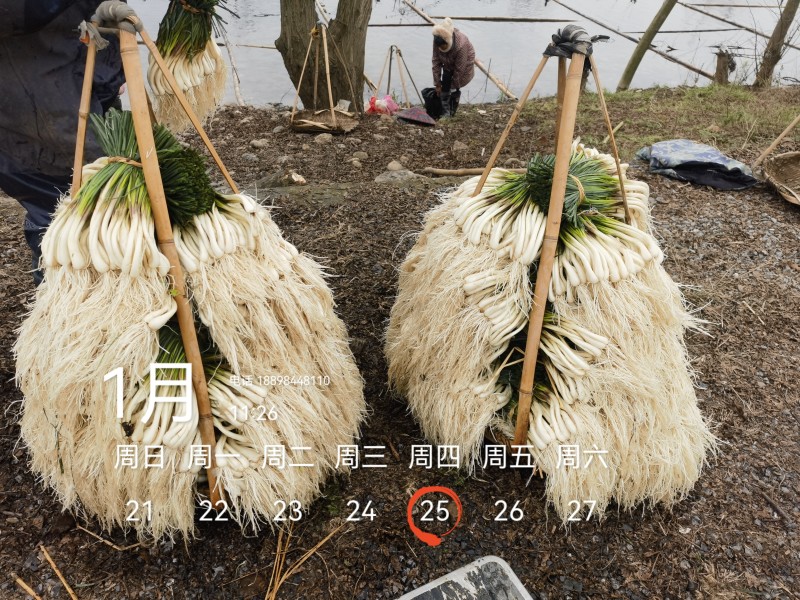 欢迎市场，大批，电商平台等老板来电！可按规定需要定制