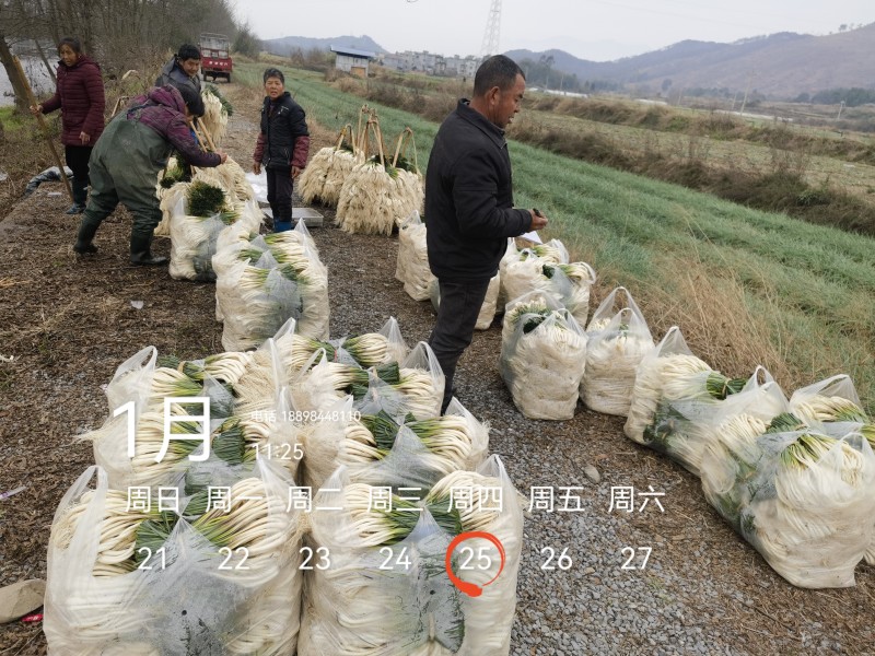 欢迎市场，大批，电商平台等老板来电！可按规定需要定制