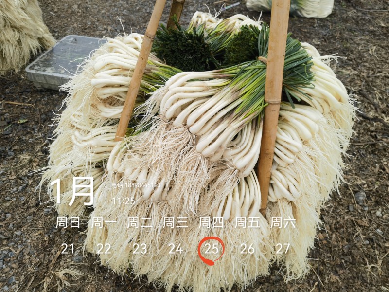 欢迎市场，大批，电商平台等老板来电！可按规定需要定制