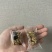 坚果八宝切糕