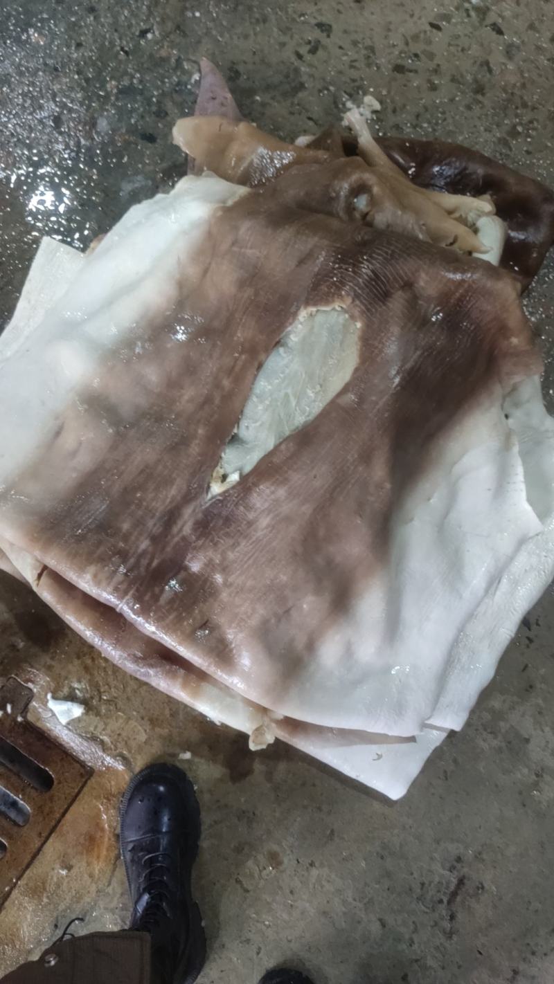 【烧鲨鱼皮】